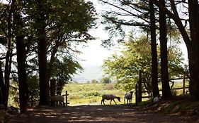 Wheal Tor Hotel & Glamping Liskeard  United Kingdom